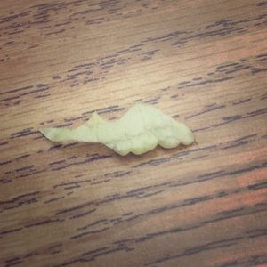 Piece of lettuce
